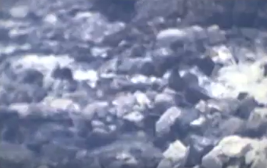 Wegmarkierung Video öffnen